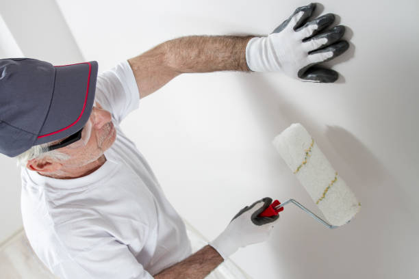Best Dehumidification Services  in Circle Pines, MN