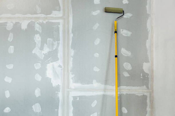 Best Environmental Consulting for Mold Prevention  in Circle Pines, MN