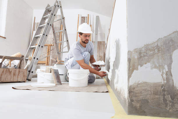 Best Crawl Space Mold Remediation  in Circle Pines, MN