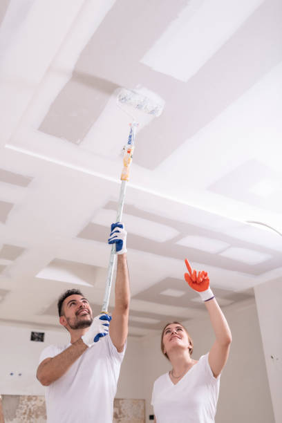Best Indoor Air Quality Assessment  in Circle Pines, MN