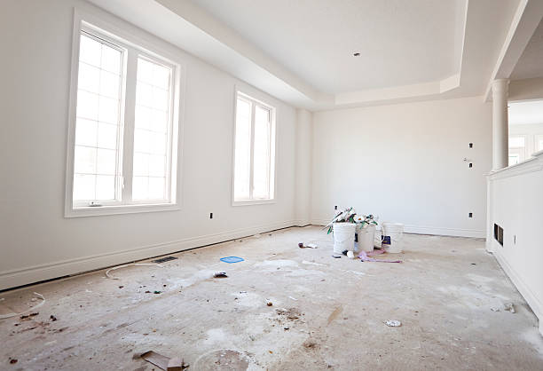 Best Emergency Mold Remediation  in Circle Pines, MN