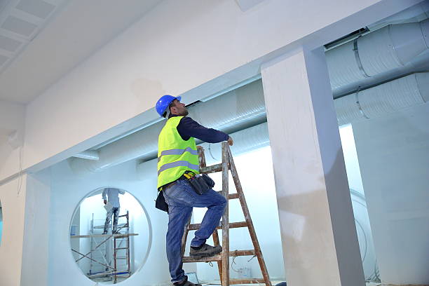 Best Mold Odor Removal Services  in Circle Pines, MN